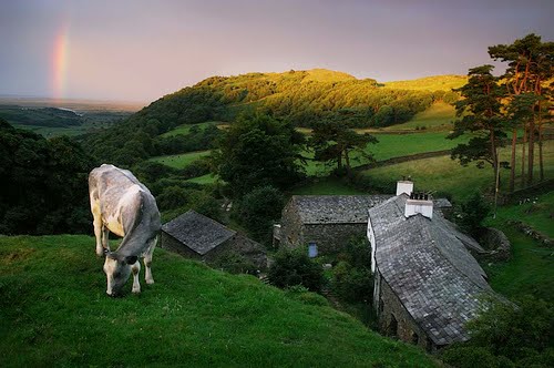 Pastoral Sunrise, Lake District, England
