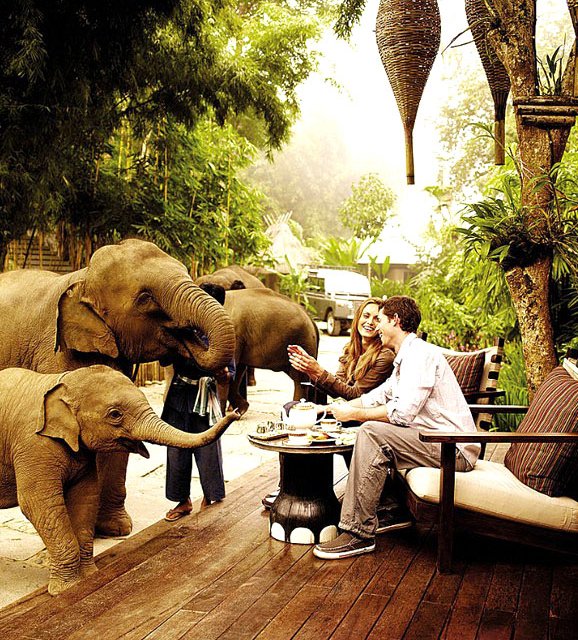Four Seasons Tented Camp, Golden Triangle