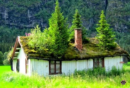 Treehouse, Norway